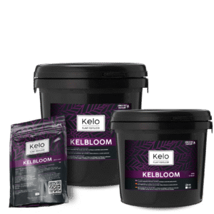 Kelbloom
